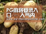 产品展示标题2