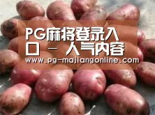 产品展示标题5
